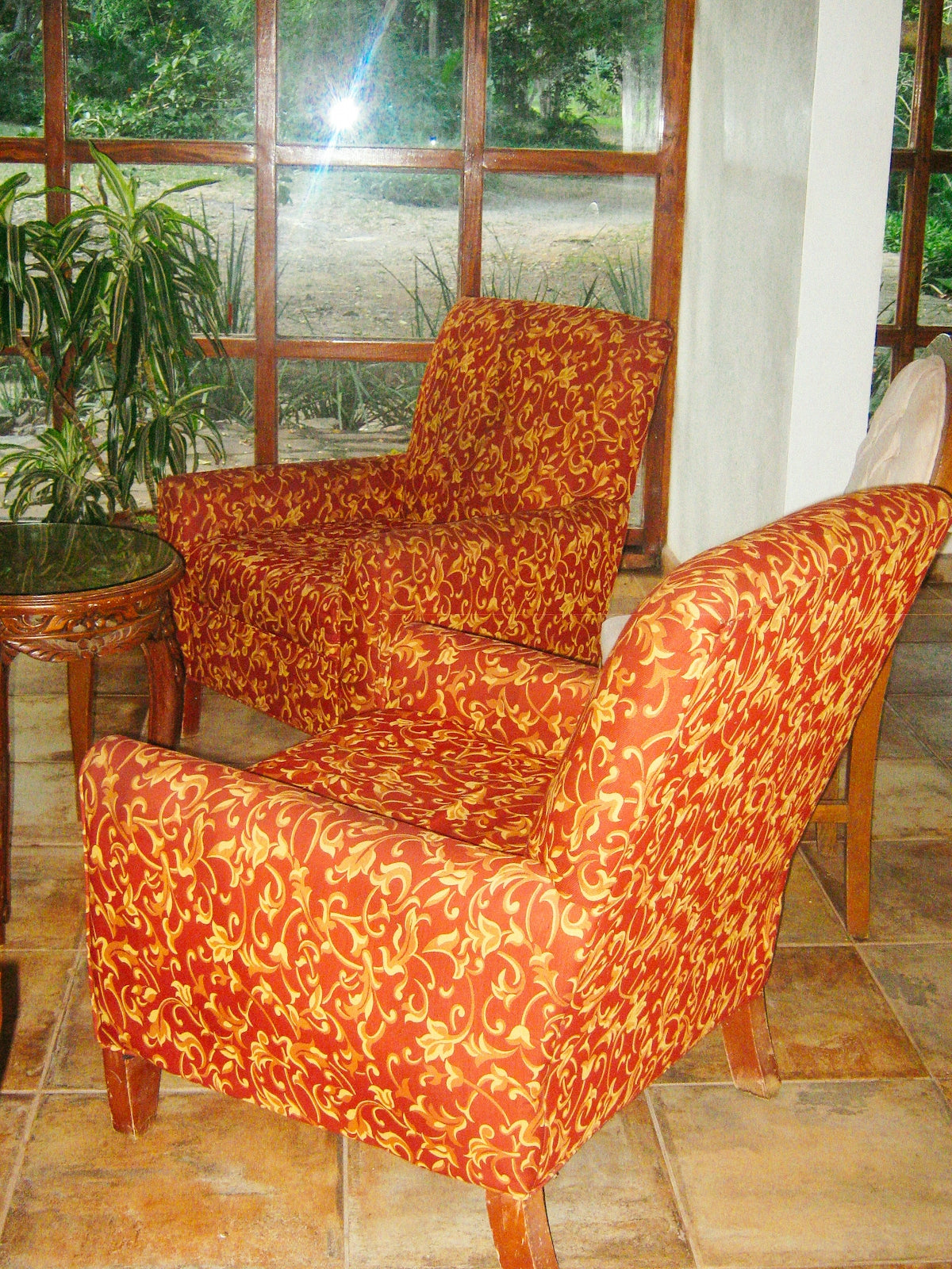 Two patterned armchairs in a room with plants