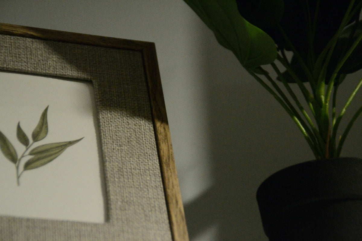 Framed botanical print next to a potted plant