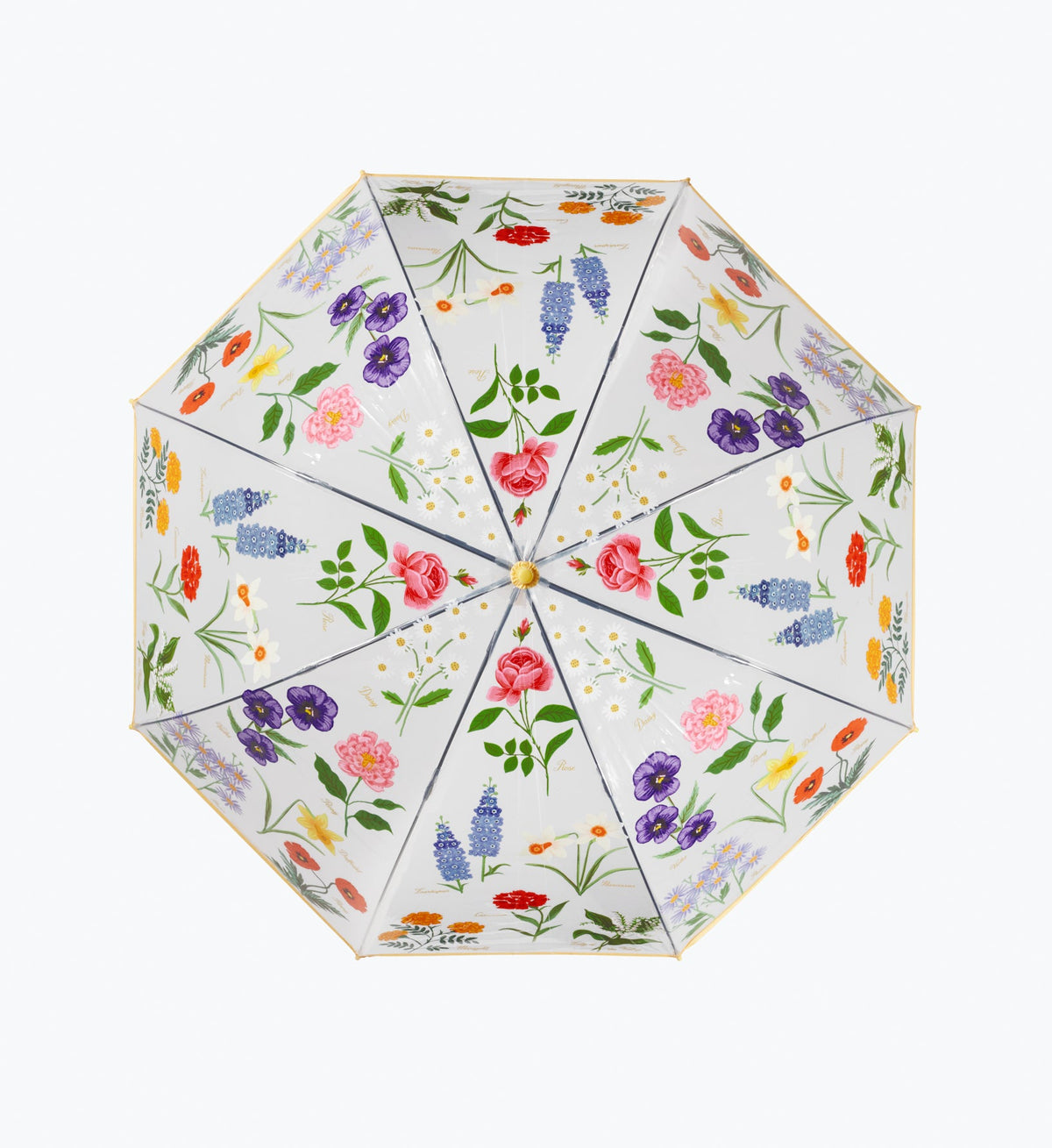 Cloverpaperco™ - Umbrella - Garden Study