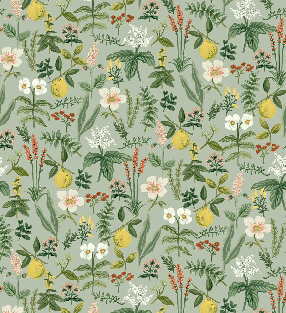Cloverpaperco™ - Herb Garden Peel & Stick Wallpaper - Sage