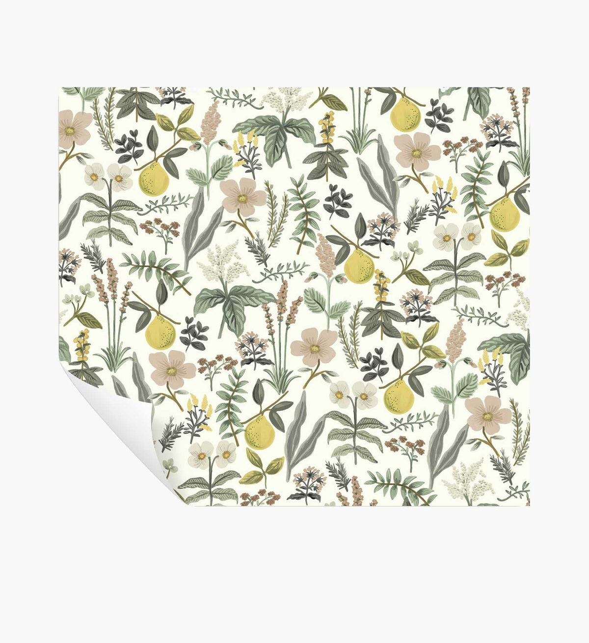 Cloverpaperco™ - Herb Garden Peel & Stick Wallpaper - Cream