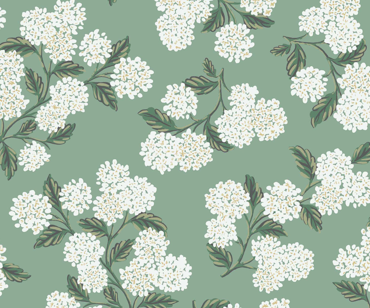 Cloverpaperco™ - Hydrangea Wallpaper - Jade